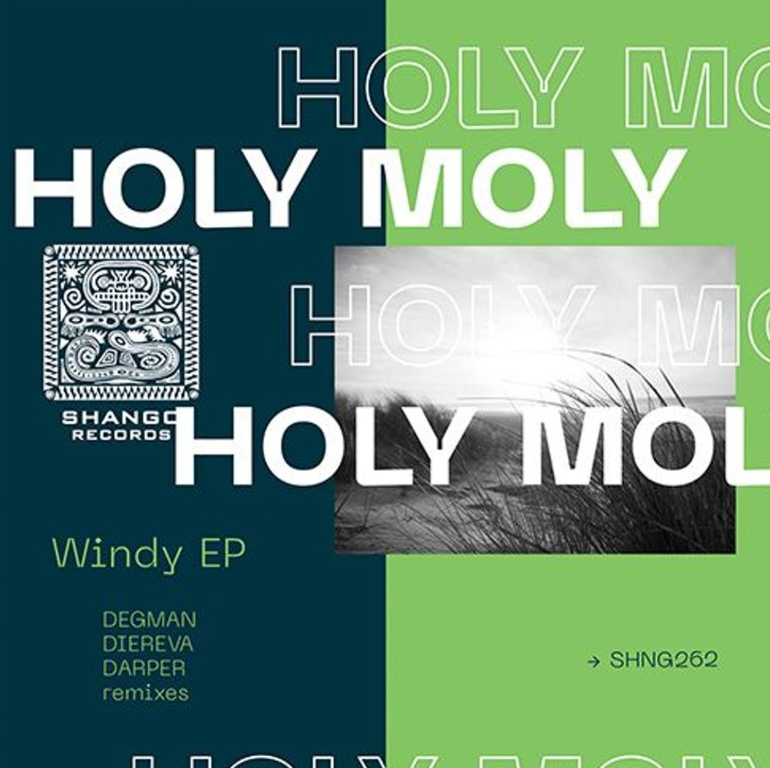 Holy Moly — Windy
